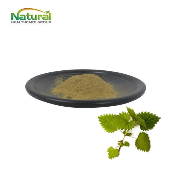 Nettle Leaf Extract Powder Nettle Leaf Extract Powder