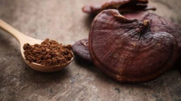 Reishi Mushroom Extract Powder