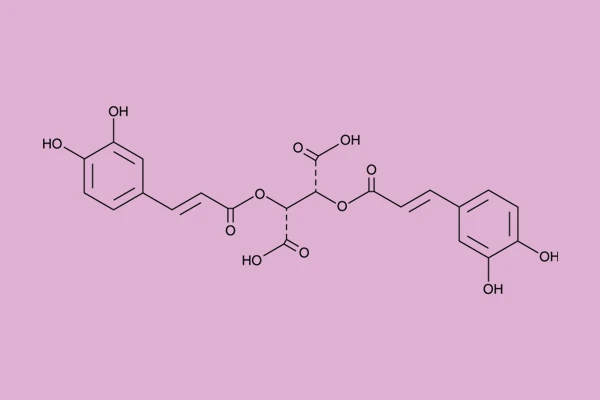 Cichoric Acid Cichoric Acid
