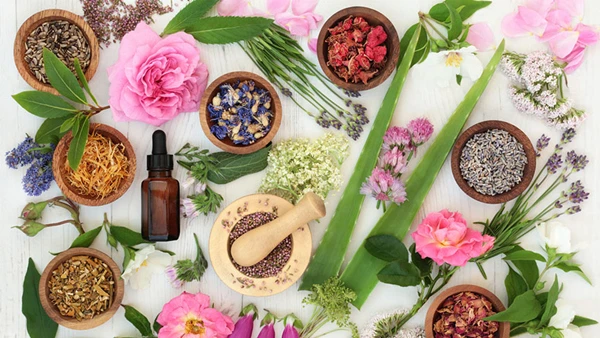 herbal extract herbal extract