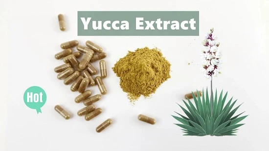 Yucca Extract Yucca Extract