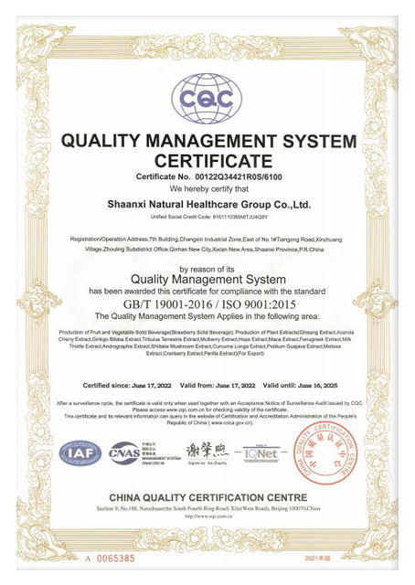 ISO9001