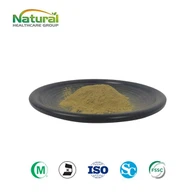 Pudră de extract de frunze de urzică