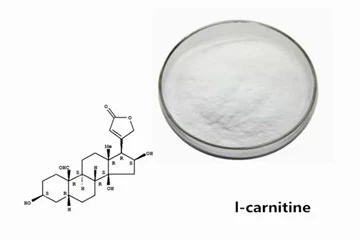 Este L-Carnitina sigură?