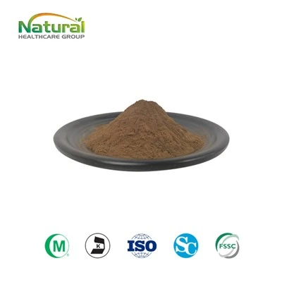 Pulbere de extract de Lungwort